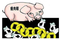什么是瘦肉精，為什么要使用瘦肉精檢測儀？