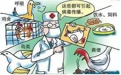 食品安全檢測(cè)儀器