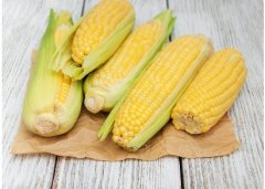 蔬菜農(nóng)殘檢測儀檢測玉米中農(nóng)殘含量