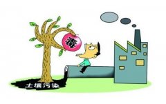 農(nóng)殘檢測(cè)儀發(fā)現(xiàn)農(nóng)藥超標(biāo)嚴(yán)重危害人體健康