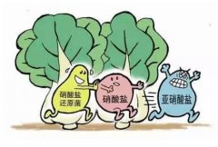 食品安全檢測儀如何檢測硝酸鹽？