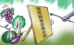 農(nóng)殘速測(cè)儀在草莓種植當(dāng)中有什么應(yīng)用？