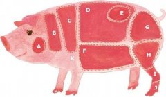 獸殘速測儀促進(jìn)肉制品行業(yè)繁榮發(fā)展